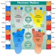 HUMAN Holon